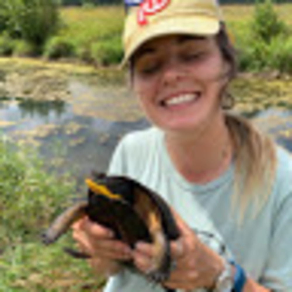 Meet your Posher, Rose